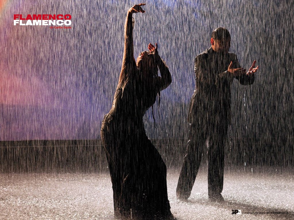 ��������, ��������