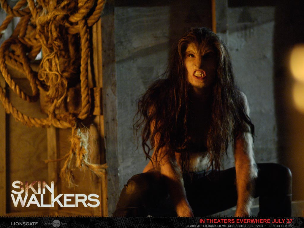 �����-��������