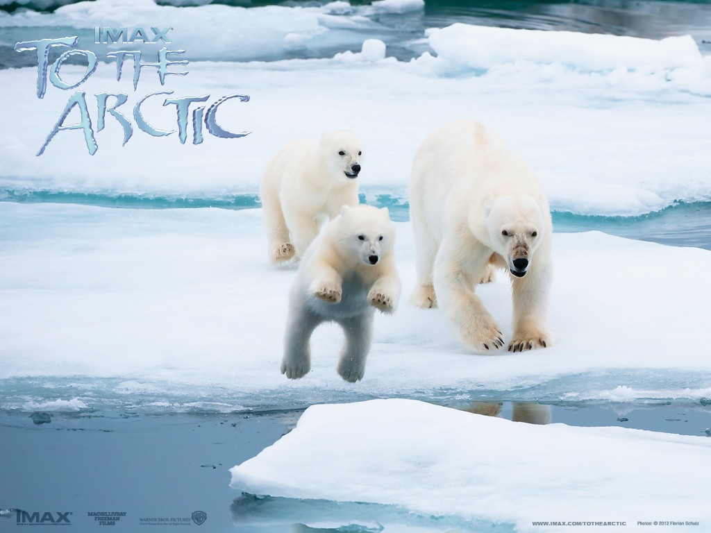 ������� 3D