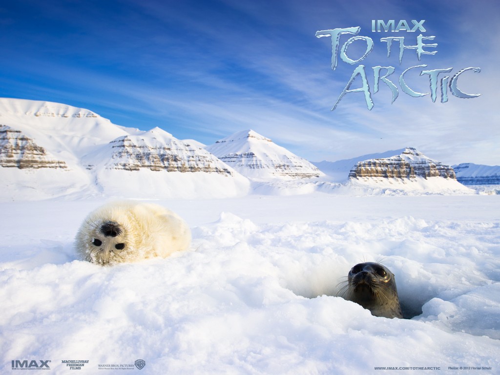 ������� 3D