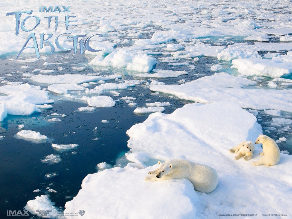 ������� 3D