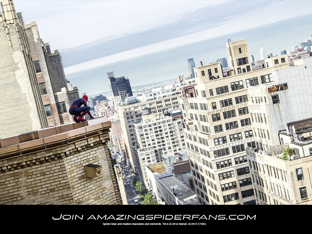 ����� �������-����. ������� ����������