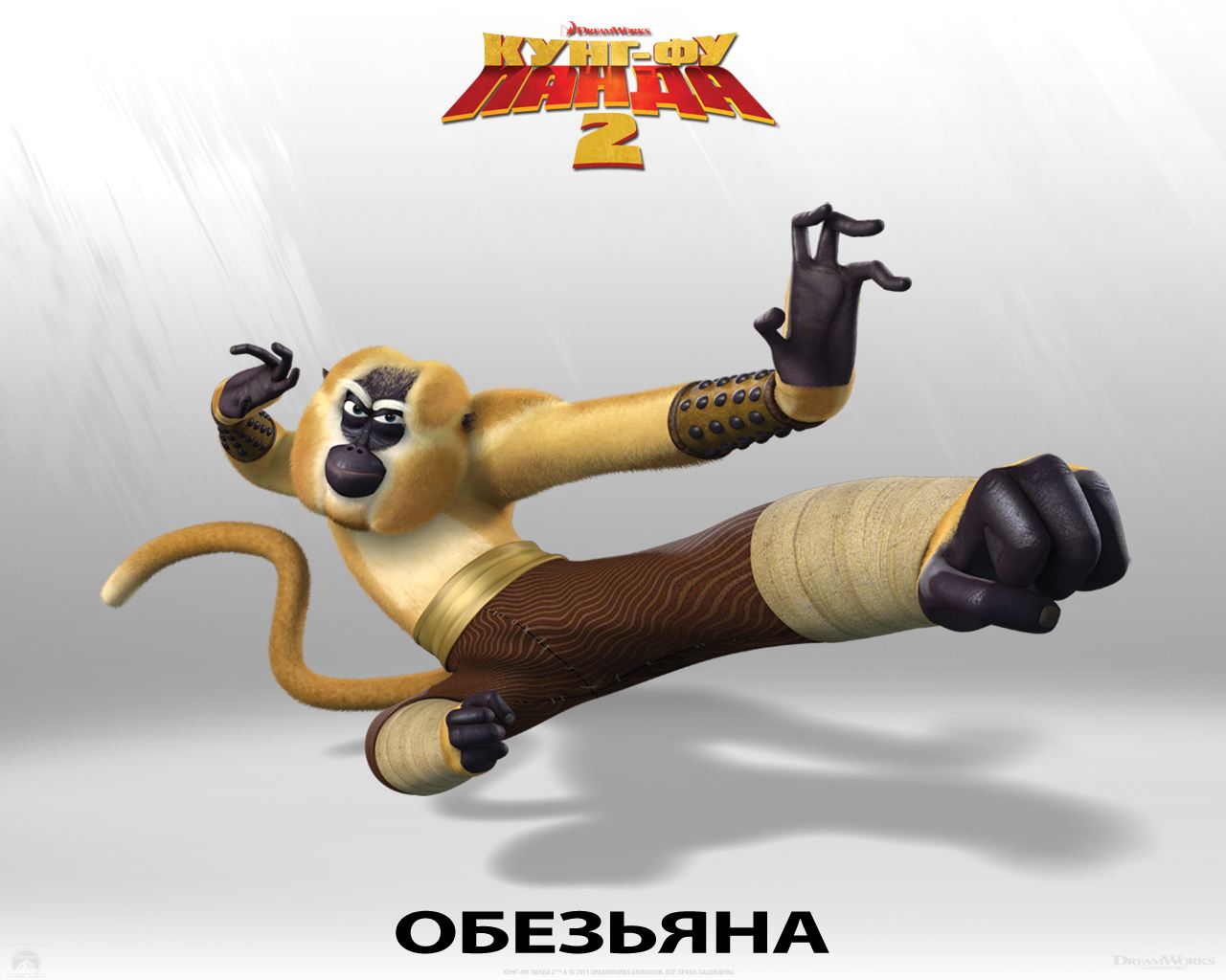 ����-�� ����� 2