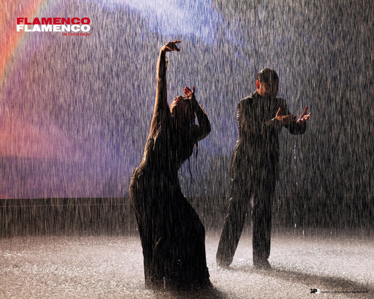 ��������, ��������