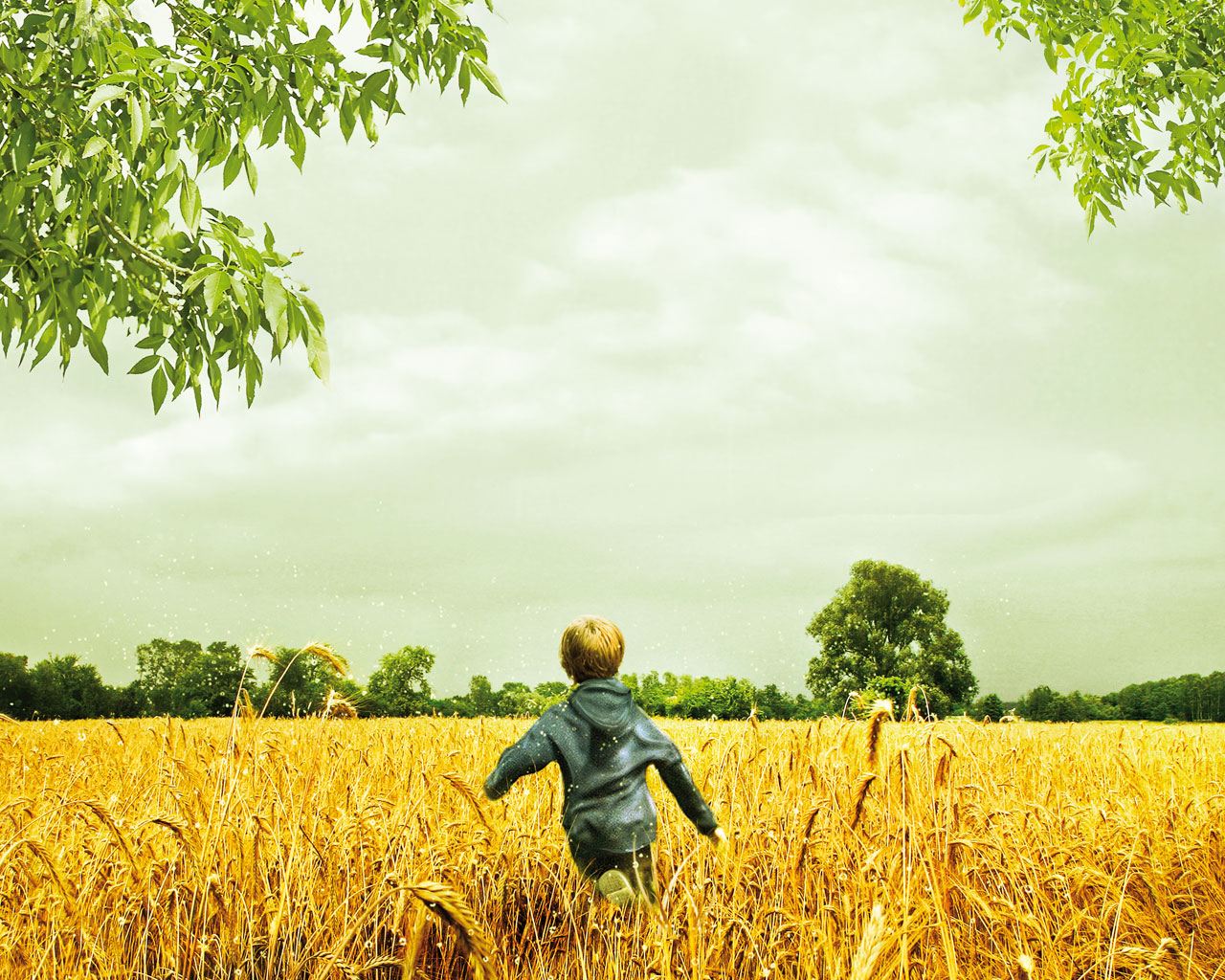 ��������� � ����