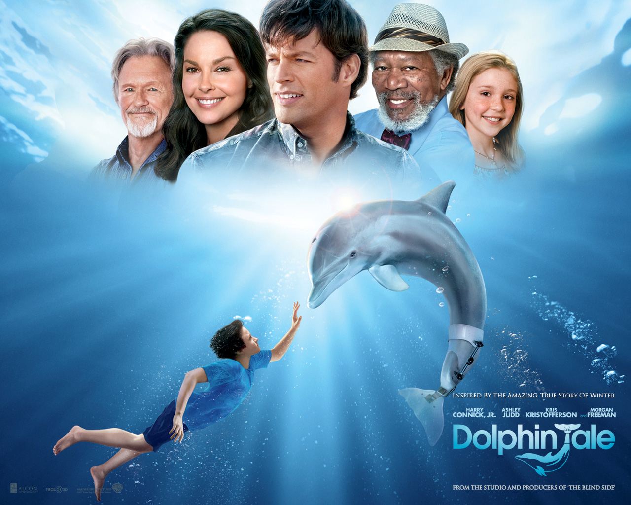 ������� ��������