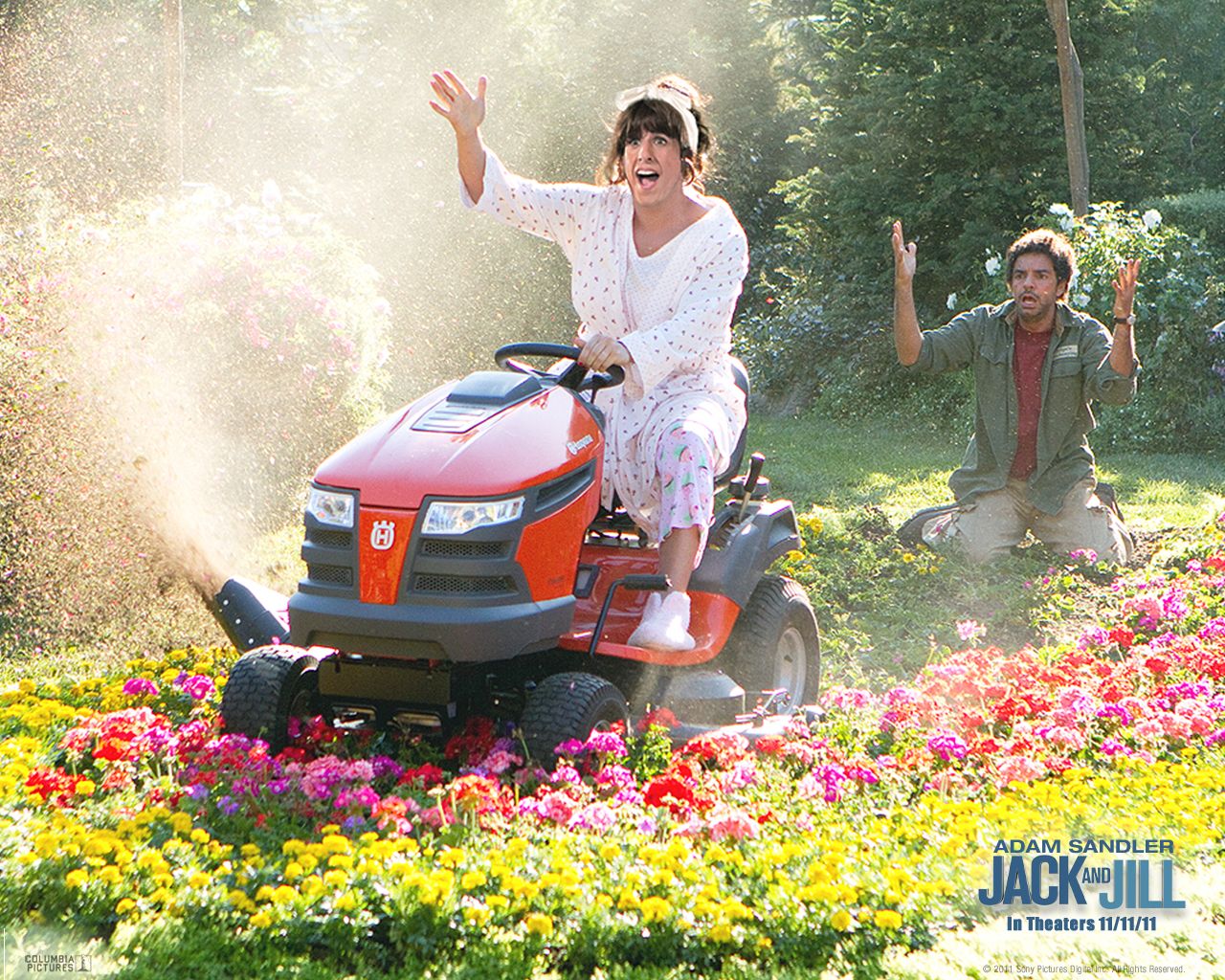 ����� ������ ��������