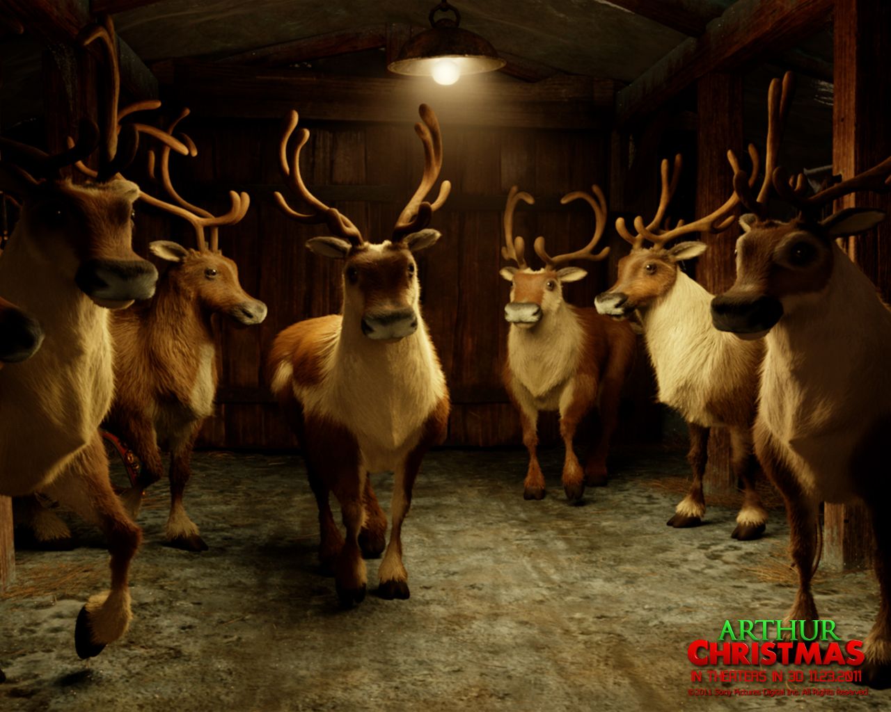 ��������� ������ ����� ������