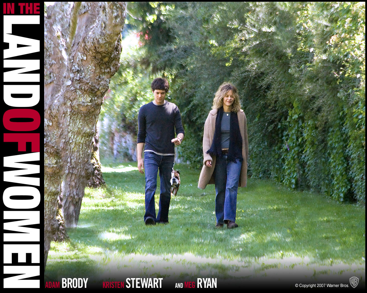 � ������ ������