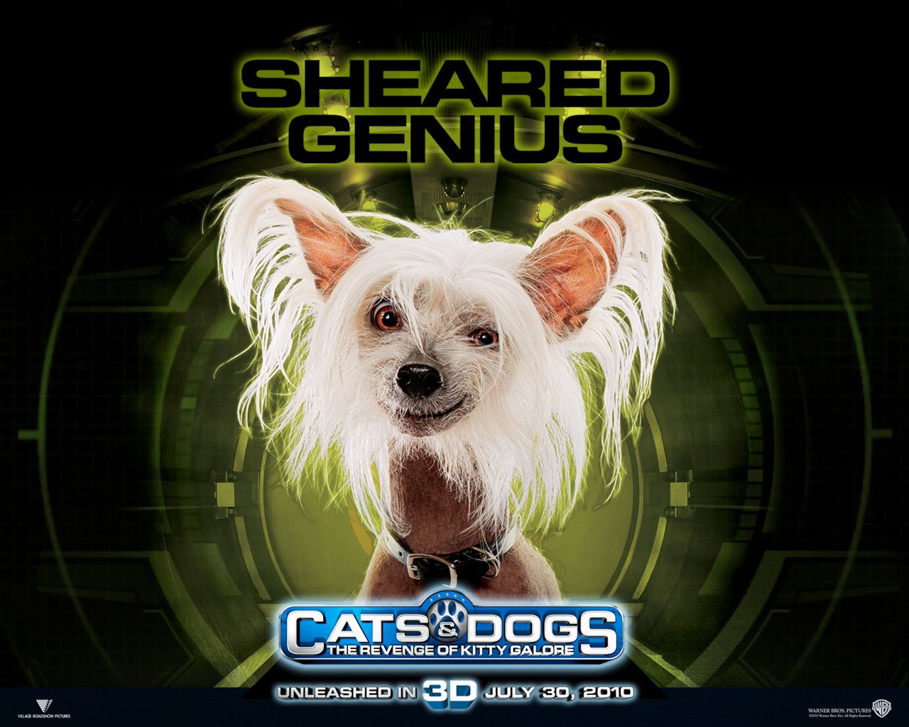 Кошки против собак: Месть Китти Галор