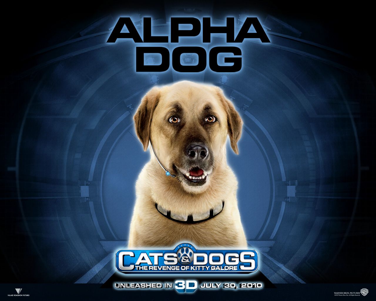 ����� ������ �����: ����� ����� �����