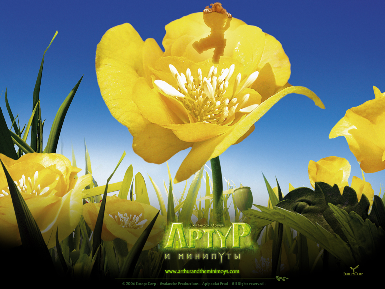 ����� � ��������