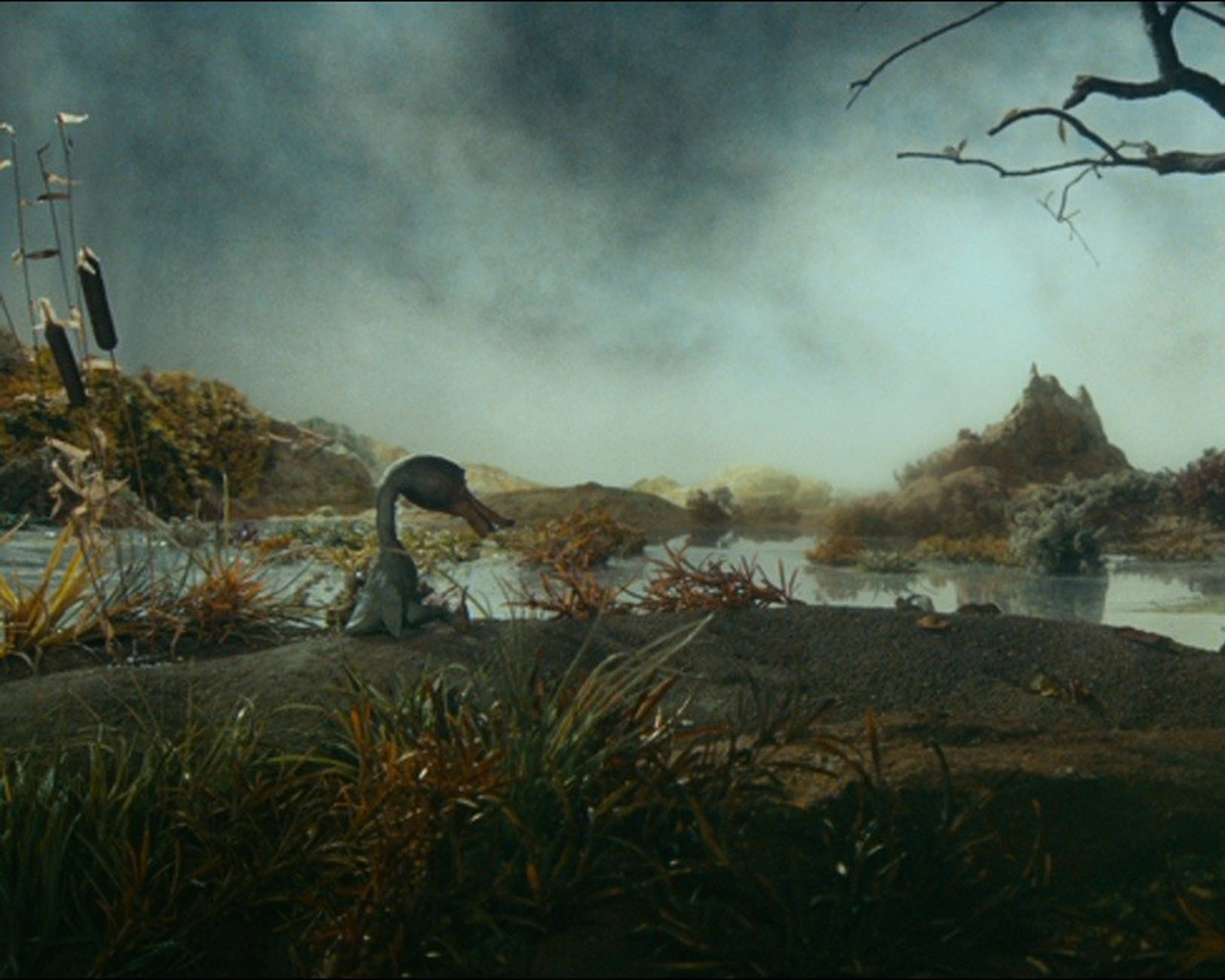 ������ ������