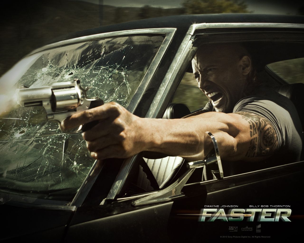 ������� ����