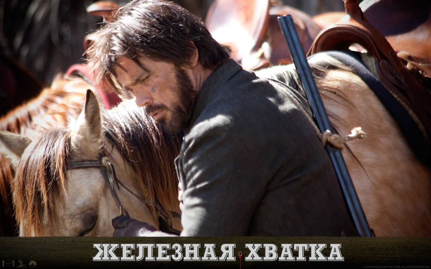 �������� ������