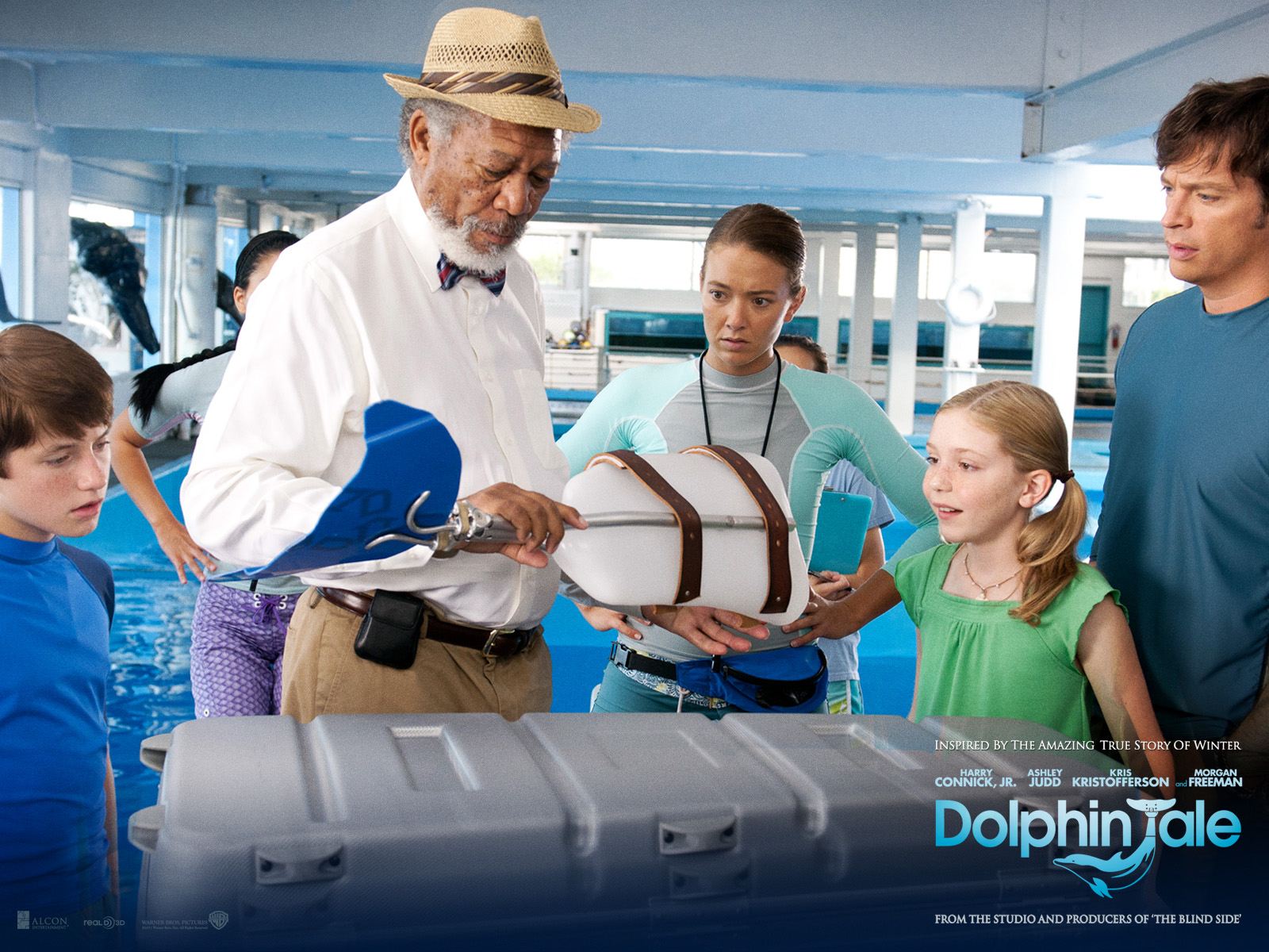 ������� ��������