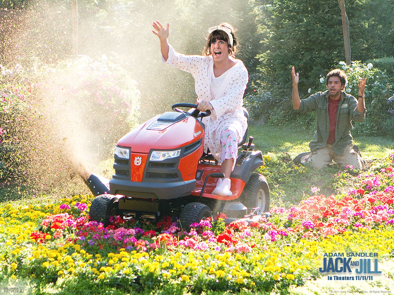 ����� ������ ��������