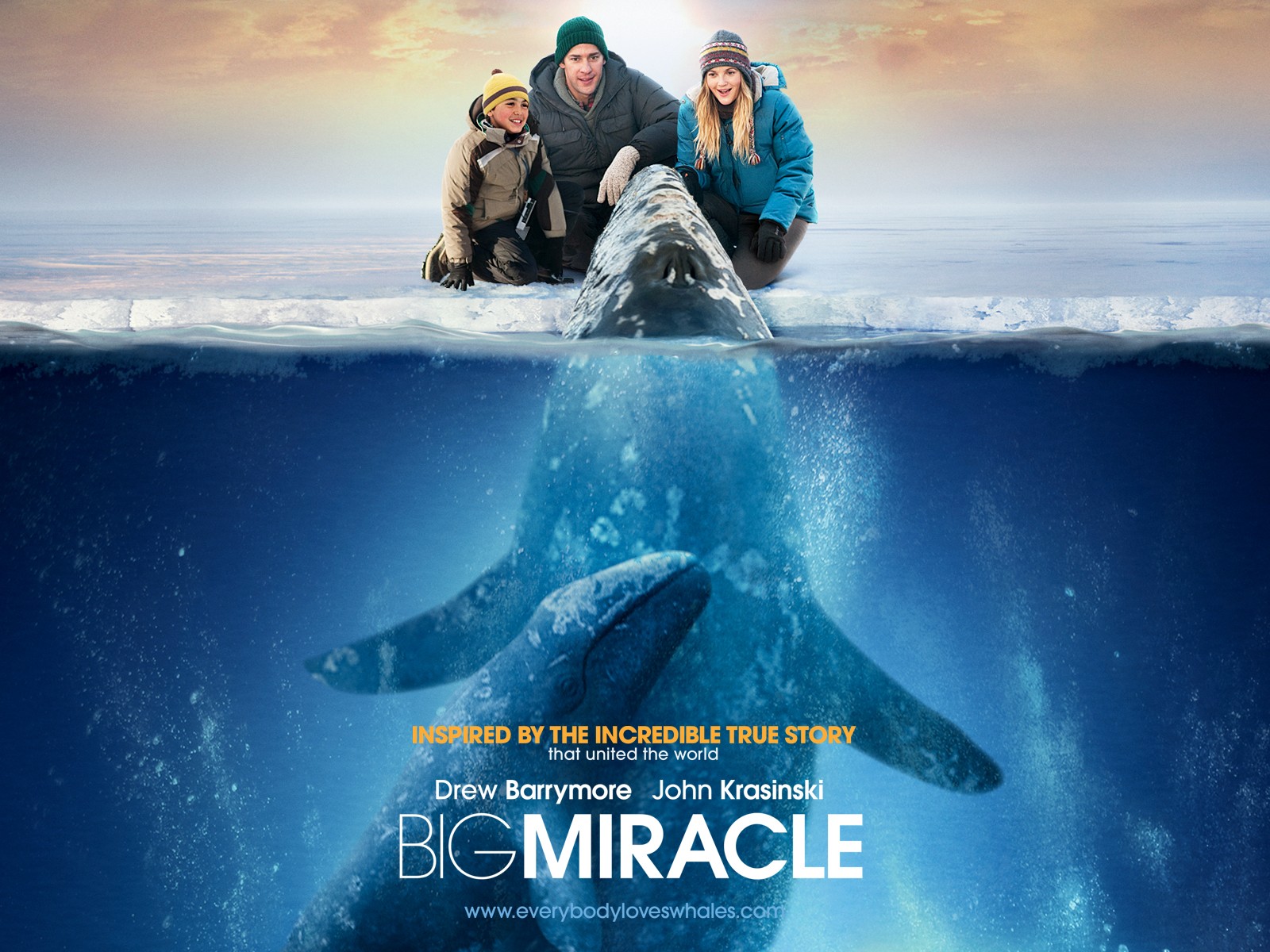 ��� ����� �����