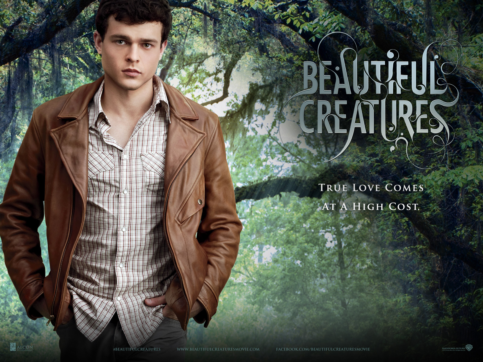 ���������� ��������