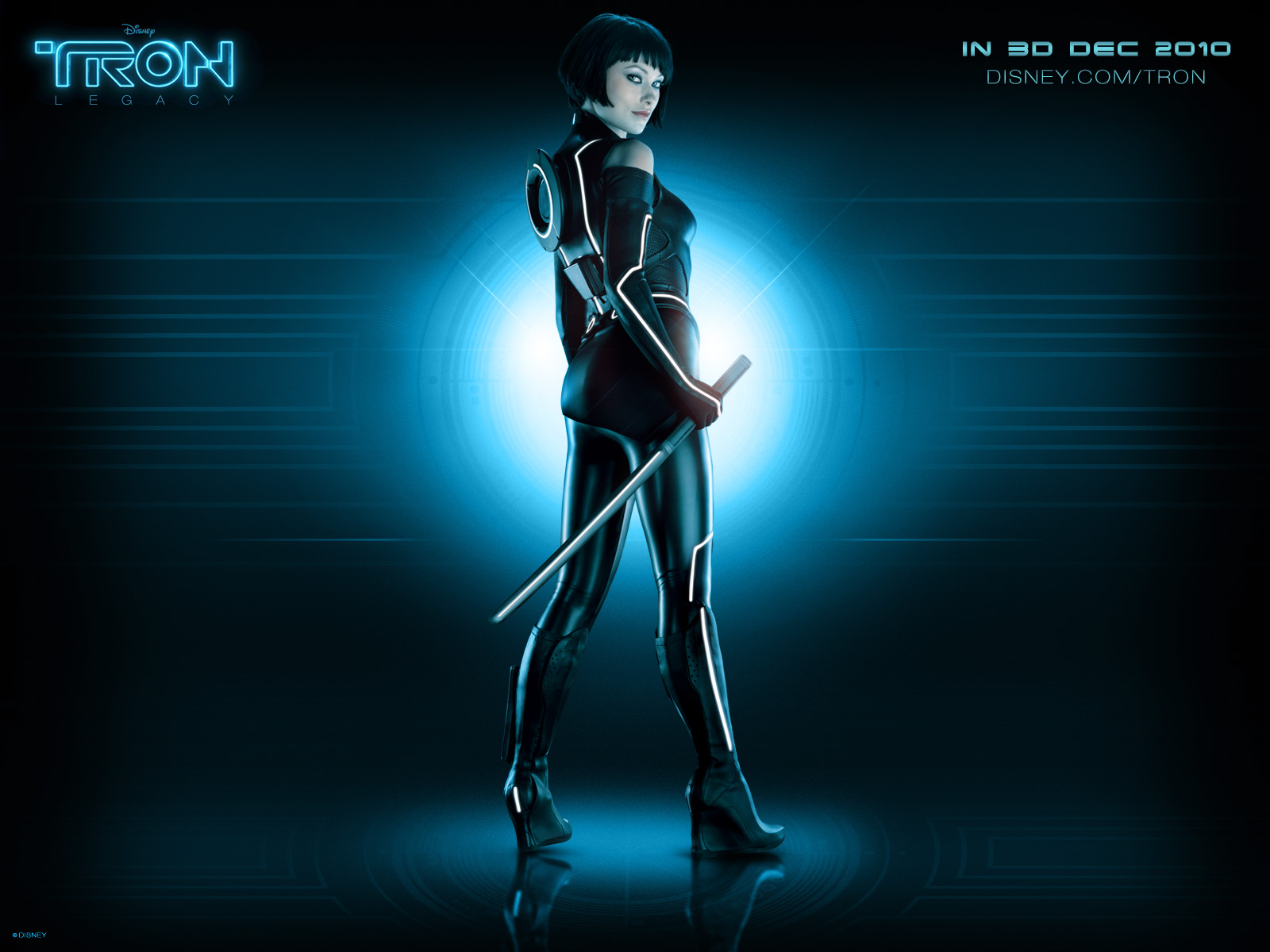 ����: ��������