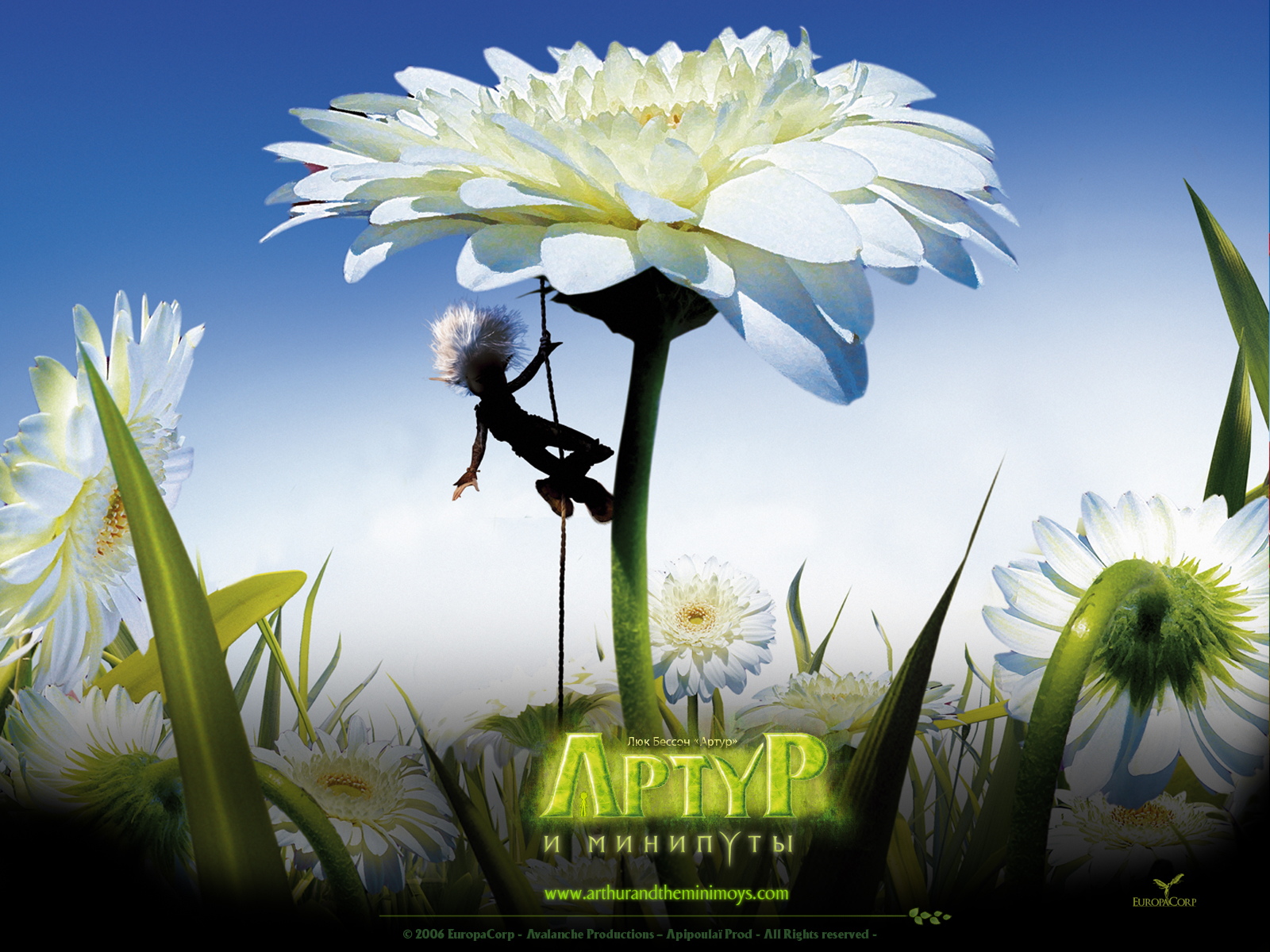 ����� � ��������