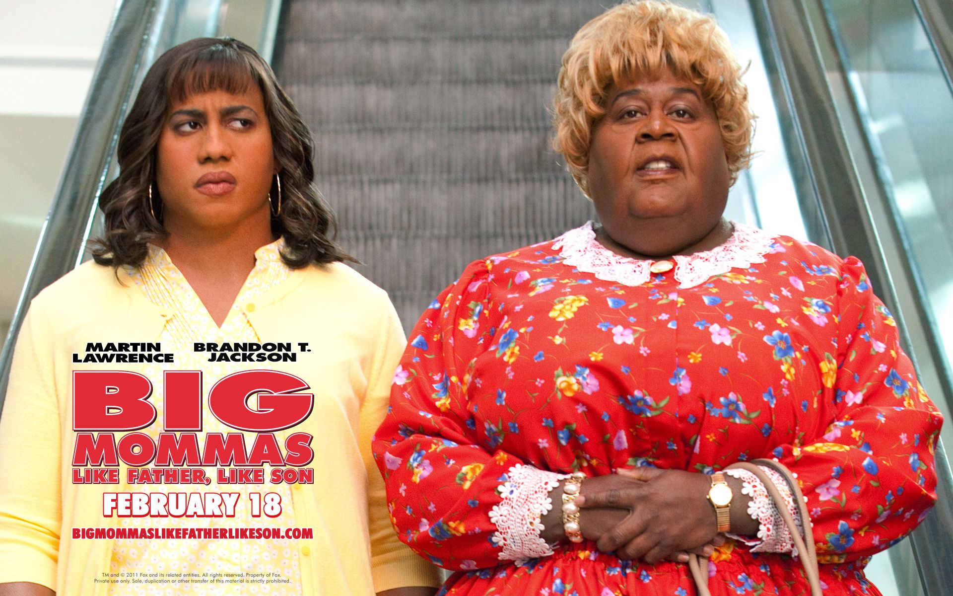 ������� ��������: ��� ��� ����