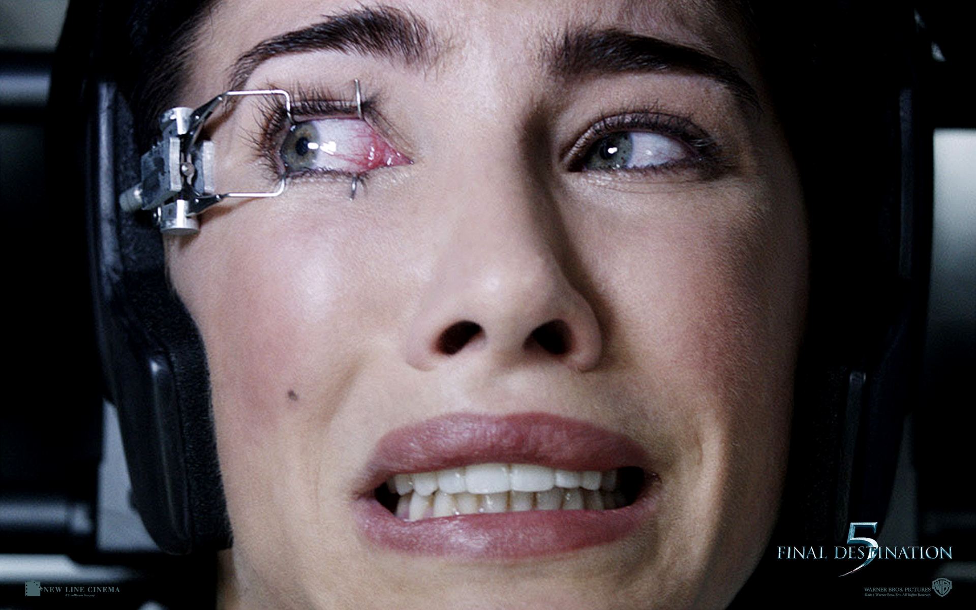 ����� ���������� 5