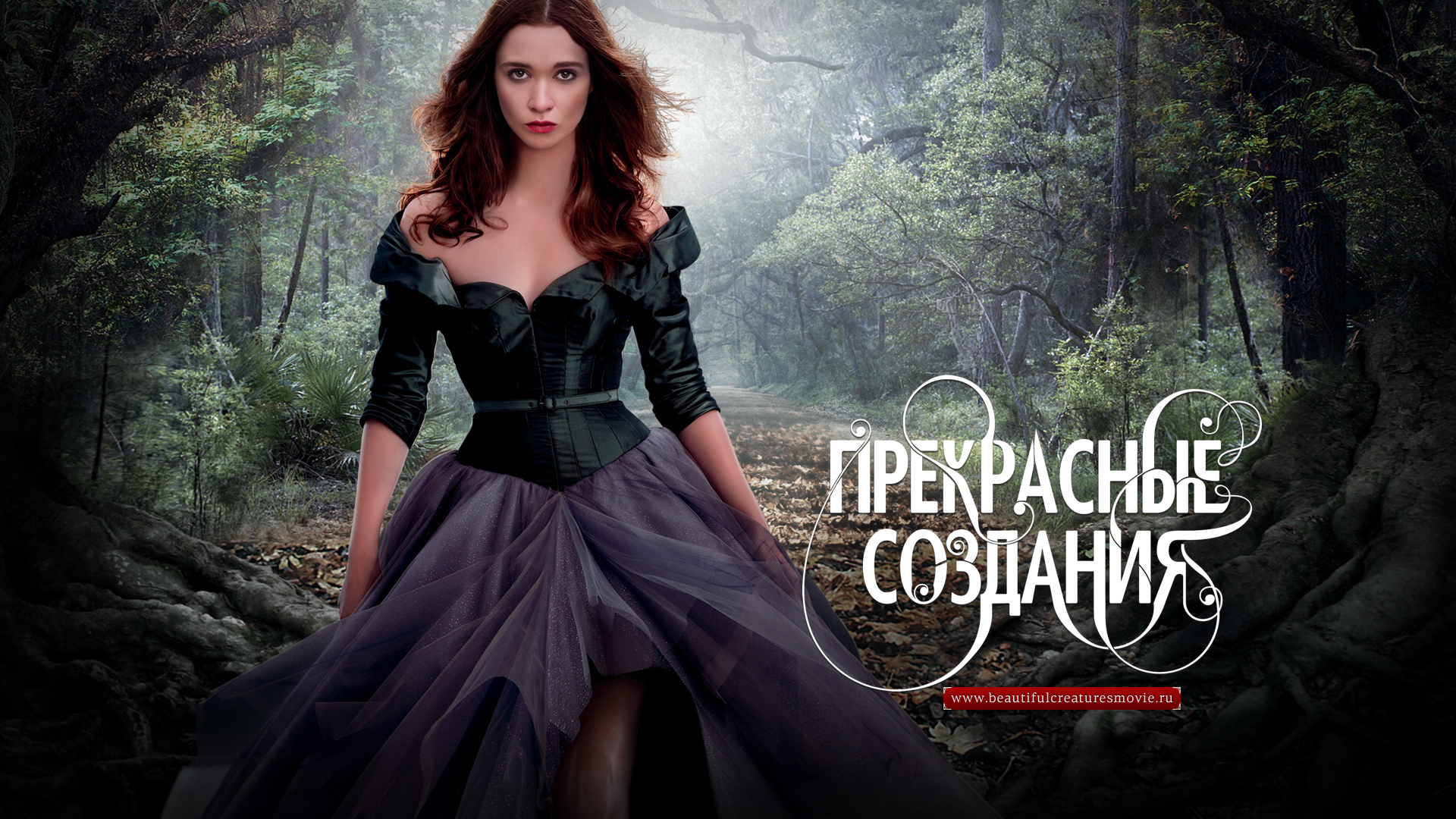 ���������� ��������